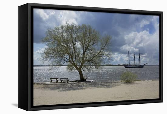 Germany, Hamburg, Spring-Uwe Steffens-Framed Premier Image Canvas