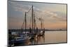 Germany, Hamburg, View over the Elbe Against Finkenwerder-Uwe Steffens-Mounted Photographic Print