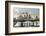 Germany, Hesse, Frankfurt on the Main, Skyline, Selective Focus-Bernd Wittelsbach-Framed Photographic Print