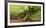 Germany, Hesse, Kellerwald-Edersee National Park, Bad Wildungen (Small Town), Halloh-Wald-Andreas Keil-Framed Photographic Print