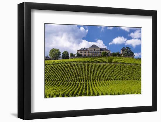 Germany, Hesse, Rheingau (Region), Geisenheim (Village), Johannisberg District-Udo Siebig-Framed Photographic Print