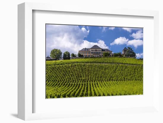 Germany, Hesse, Rheingau (Region), Geisenheim (Village), Johannisberg District-Udo Siebig-Framed Photographic Print