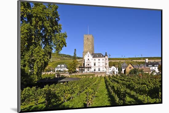 Germany, Hesse, Rheingau (Region), RŸdesheim Am Rhein (Town), Boosenburg-Udo Siebig-Mounted Photographic Print