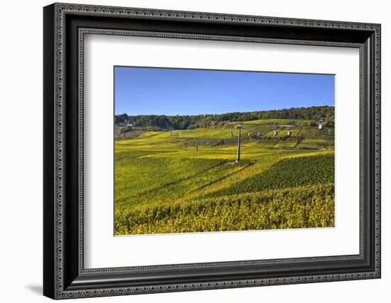 Germany, Hesse, Rheingau (Region), RŸdesheim Am Rhein (Town), Cable Car to the Niederwald Monument-Udo Siebig-Framed Photographic Print