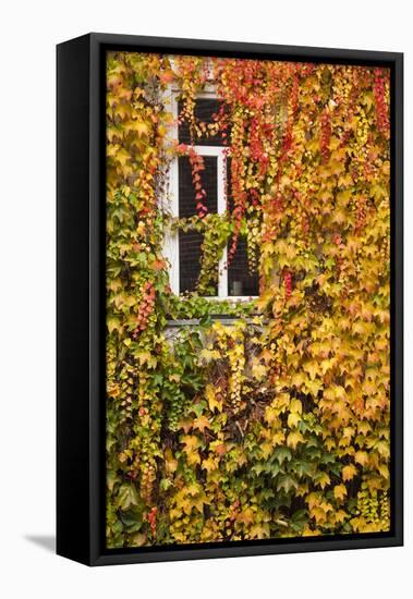 Germany, Hesse, Wetzlar, Building Covered with Ivy in Autumn-Walter Bibikow-Framed Premier Image Canvas