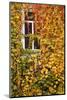 Germany, Hesse, Wetzlar, Building Covered with Ivy in Autumn-Walter Bibikow-Mounted Photographic Print