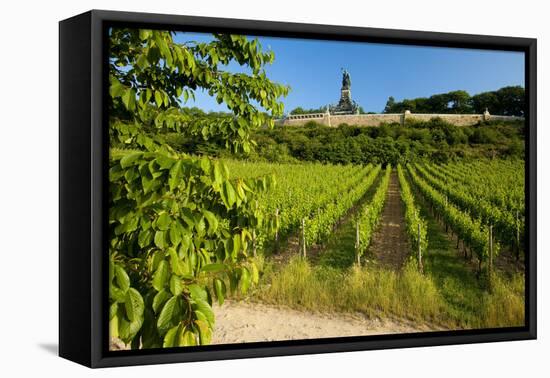 Germany, Hessen, Middle Rhine Valley, RŸdesheim, Vineyard, Niederwalddenkmal, Morning Light-Chris Seba-Framed Premier Image Canvas