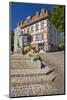 Germany, Hessen, Northern Hessen, Bad Zwesten, Old Town-Chris Seba-Mounted Photographic Print