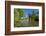 Germany, Hessen, Northern Hessen, Reinhardshausen, Health Resort Park, Pond-Chris Seba-Framed Photographic Print