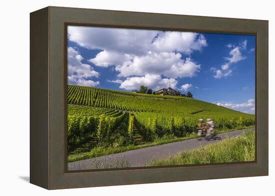 Germany, Hessen, Rheingau, Geisenheim, District Johannisberg-Udo Siebig-Framed Premier Image Canvas