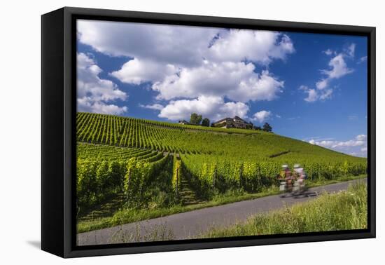 Germany, Hessen, Rheingau, Geisenheim, District Johannisberg-Udo Siebig-Framed Premier Image Canvas