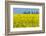 Germany, Landscape, Rape Field-Catharina Lux-Framed Photographic Print