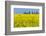 Germany, Landscape, Rape Field-Catharina Lux-Framed Photographic Print