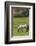 Germany, Lower Saxony, East Friesland, Langeoog, horse on the pasture.-Roland T. Frank-Framed Photographic Print