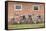 Germany, Lower Saxony, East Friesland, parked bicycles.-Roland T. Frank-Framed Stretched Canvas