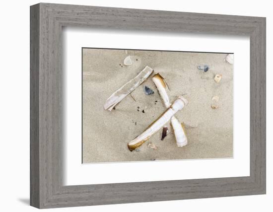 Germany, Lower Saxony, East Frisian islands, North Sea beach with mussels.-Roland T. Frank-Framed Photographic Print