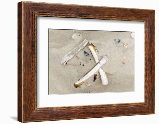 Germany, Lower Saxony, East Frisian islands, North Sea beach with mussels.-Roland T. Frank-Framed Photographic Print