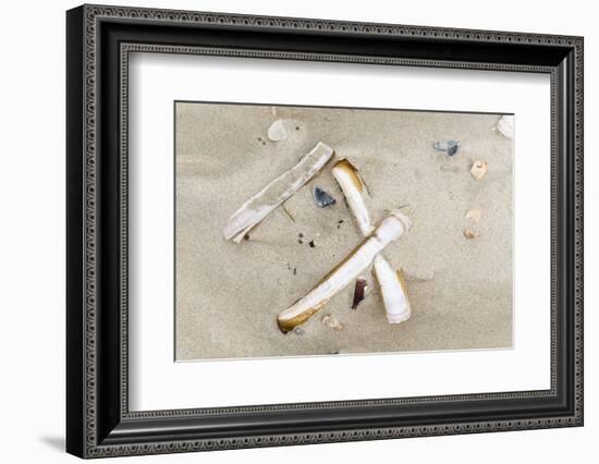 Germany, Lower Saxony, East Frisian islands, North Sea beach with mussels.-Roland T. Frank-Framed Photographic Print