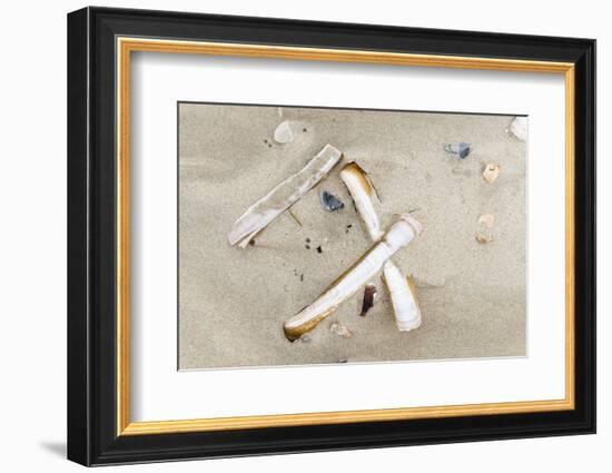 Germany, Lower Saxony, East Frisian islands, North Sea beach with mussels.-Roland T. Frank-Framed Photographic Print