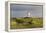 Germany, Lower Saxony, Island Langeoog, Water Tower, HŸgellandschaft-Roland T.-Framed Premier Image Canvas