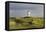 Germany, Lower Saxony, Island Langeoog, Water Tower, HŸgellandschaft-Roland T.-Framed Premier Image Canvas