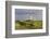 Germany, Lower Saxony, Island Langeoog, Water Tower, HŸgellandschaft-Roland T.-Framed Photographic Print