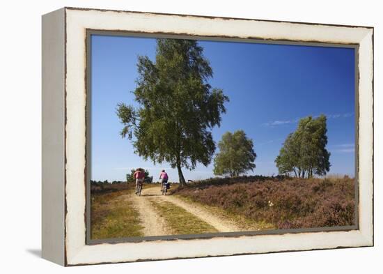 Germany, Lower Saxony, LŸneburg Heath, Heath Path, Cyclists-Chris Seba-Framed Premier Image Canvas