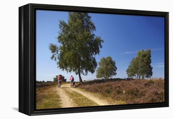 Germany, Lower Saxony, LŸneburg Heath, Heath Path, Cyclists-Chris Seba-Framed Premier Image Canvas