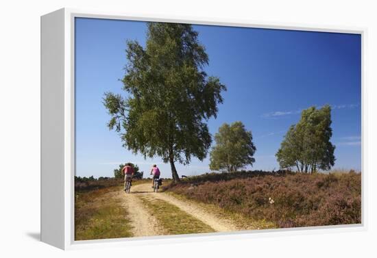 Germany, Lower Saxony, LŸneburg Heath, Heath Path, Cyclists-Chris Seba-Framed Premier Image Canvas