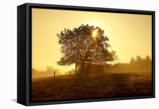 Germany, Lower Saxony, Weser Hills, Nature, Evening Light-Chris Seba-Framed Premier Image Canvas
