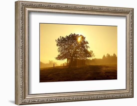 Germany, Lower Saxony, Weser Hills, Nature, Evening Light-Chris Seba-Framed Photographic Print