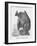 Germany, March 9, 1888, 1888-Joseph Swain-Framed Giclee Print