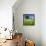 Germany, Mecklenburg-West Pomerania, Grain Field, Solitairy Oak, Hut-Andreas Vitting-Framed Premier Image Canvas displayed on a wall