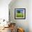 Germany, Mecklenburg-West Pomerania, Grain Field, Solitairy Oak, Hut-Andreas Vitting-Framed Photographic Print displayed on a wall