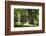 Germany, Mecklenburg-Western Pomerania, 'Ivenacker Eichen', zoo, district Mecklenburg lakeland, clo-Roland T. Frank-Framed Photographic Print