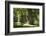 Germany, Mecklenburg-Western Pomerania, 'Ivenacker Eichen', zoo, district Mecklenburg lakeland, clo-Roland T. Frank-Framed Photographic Print