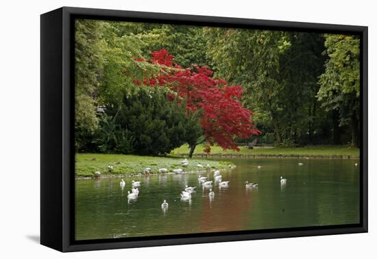 Germany, Munich. Englischer Garten, or English Garden of Munich-Kymri Wilt-Framed Premier Image Canvas