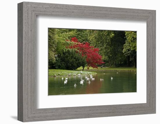 Germany, Munich. Englischer Garten, or English Garden of Munich-Kymri Wilt-Framed Photographic Print