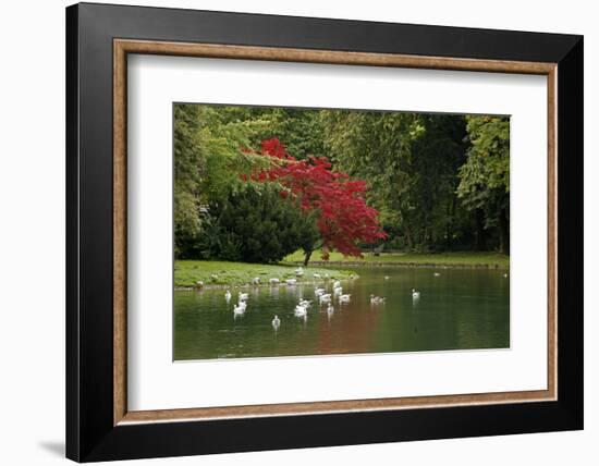 Germany, Munich. Englischer Garten, or English Garden of Munich-Kymri Wilt-Framed Photographic Print