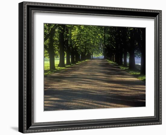 Germany, North Rhine-Westphalia, Cologne, Chestnut Avenue at the Decksteiner Weiher-Andreas Keil-Framed Photographic Print