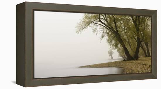 Germany, North Rhine-Westphalia, Cologne, Pastures on the Rhine Shore Beside the Zoo Bridge in Fog-Andreas Keil-Framed Premier Image Canvas