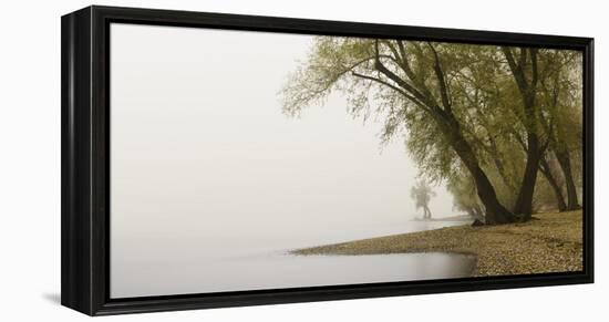 Germany, North Rhine-Westphalia, Cologne, Pastures on the Rhine Shore Beside the Zoo Bridge in Fog-Andreas Keil-Framed Premier Image Canvas