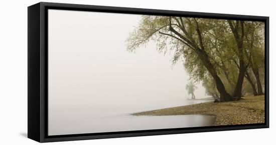 Germany, North Rhine-Westphalia, Cologne, Pastures on the Rhine Shore Beside the Zoo Bridge in Fog-Andreas Keil-Framed Premier Image Canvas