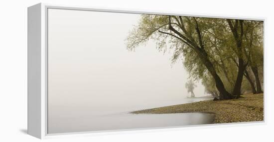 Germany, North Rhine-Westphalia, Cologne, Pastures on the Rhine Shore Beside the Zoo Bridge in Fog-Andreas Keil-Framed Premier Image Canvas