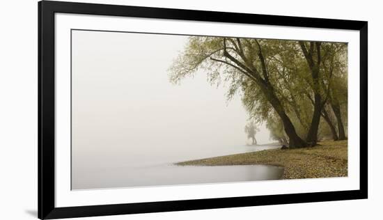 Germany, North Rhine-Westphalia, Cologne, Pastures on the Rhine Shore Beside the Zoo Bridge in Fog-Andreas Keil-Framed Photographic Print