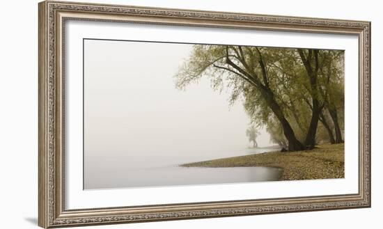 Germany, North Rhine-Westphalia, Cologne, Pastures on the Rhine Shore Beside the Zoo Bridge in Fog-Andreas Keil-Framed Photographic Print