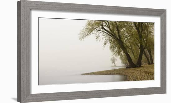 Germany, North Rhine-Westphalia, Cologne, Pastures on the Rhine Shore Beside the Zoo Bridge in Fog-Andreas Keil-Framed Photographic Print