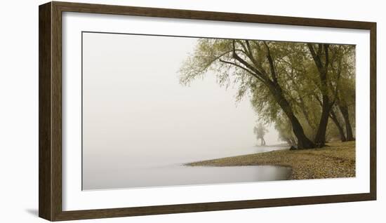 Germany, North Rhine-Westphalia, Cologne, Pastures on the Rhine Shore Beside the Zoo Bridge in Fog-Andreas Keil-Framed Photographic Print