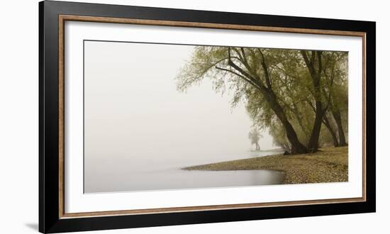 Germany, North Rhine-Westphalia, Cologne, Pastures on the Rhine Shore Beside the Zoo Bridge in Fog-Andreas Keil-Framed Photographic Print