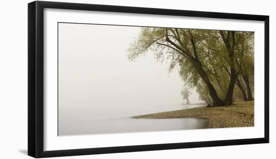 Germany, North Rhine-Westphalia, Cologne, Pastures on the Rhine Shore Beside the Zoo Bridge in Fog-Andreas Keil-Framed Photographic Print